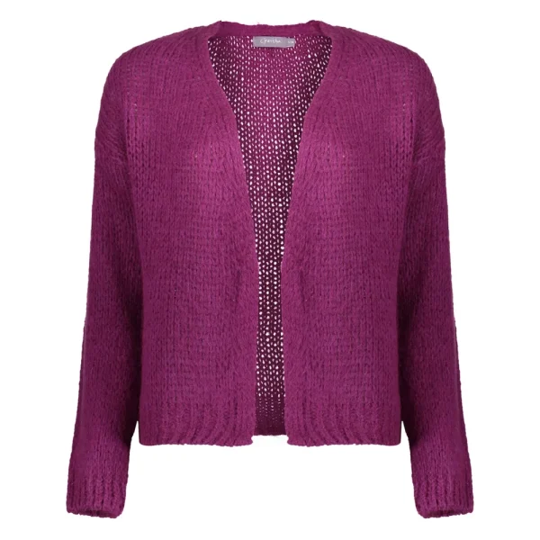 Vrouwen Geisha Fashion Geisha Dames Gebreid Basic Vest 34577-70 Paars