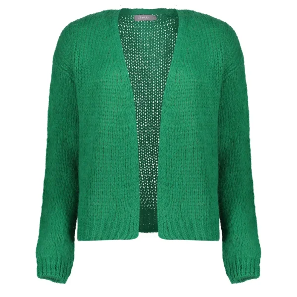 Vrouwen Geisha Fashion Geisha Dames Gebreid Basic Vest 34577-70 Groen