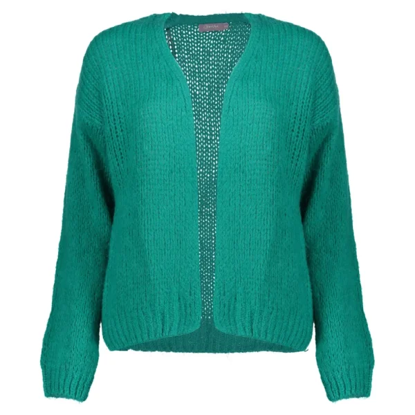 Vrouwen Geisha Fashion Geisha Dames Gebreid Basic Vest 34577-70 Emerald