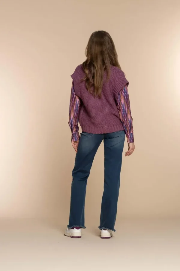 Vrouwen Geisha Fashion Geisha Dames Gebreid Gilet 34541-29 Mauve