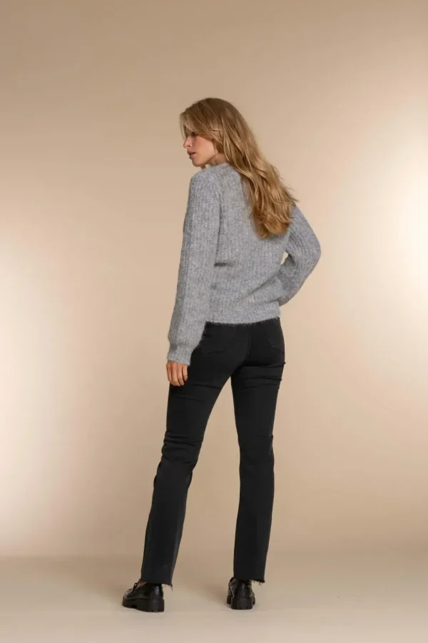 Vrouwen Geisha Fashion Geisha Dames Skinny Jeans 31595-60 Lou Black Denim